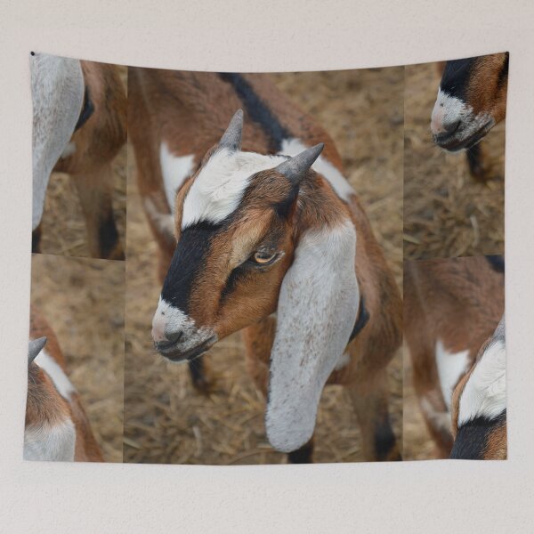 Item preview, The Boer Goat designed and sold by Savannah Gibbs.