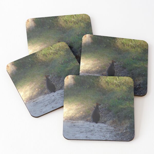 Item preview, Swamp wallaby  designed and sold by Mickangelhere.