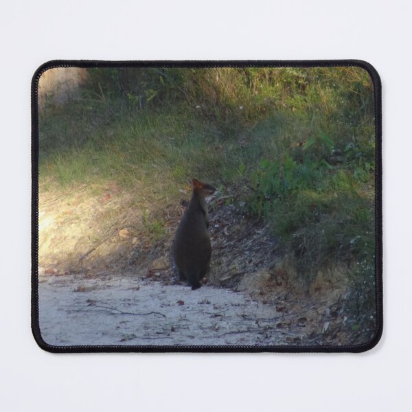Item preview, Swamp wallaby designed and sold by Mickangelhere.