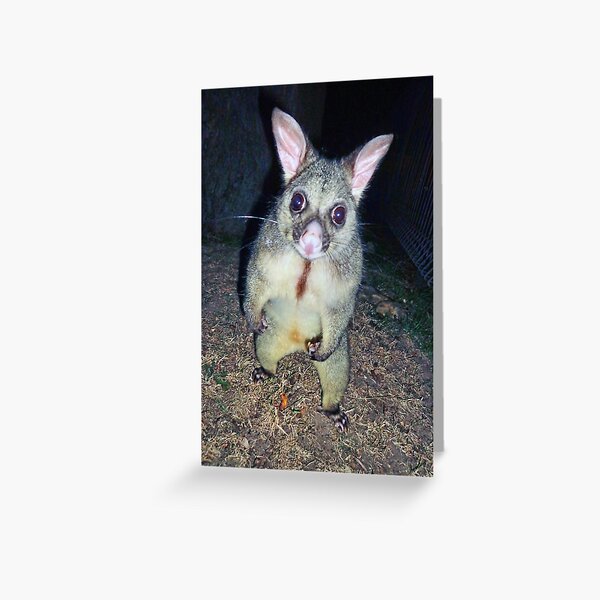 Item preview, Arnie Possumnegger designed and sold by George Petrovsky.