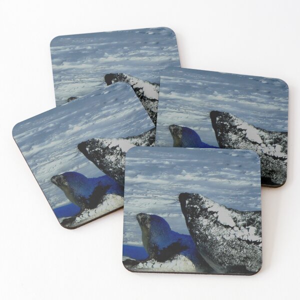 Item preview, Antarctic Seals designed and sold by ontological.