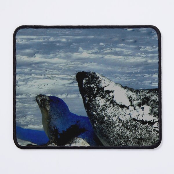 Item preview, Antarctic Seals designed and sold by ontological.