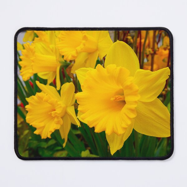 Item preview, Yellow flowers designed and sold by corichard.