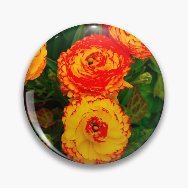 Artikelvorschau, Leuchtend gelbe und rote Blume entworfen und verkauft von corichard.