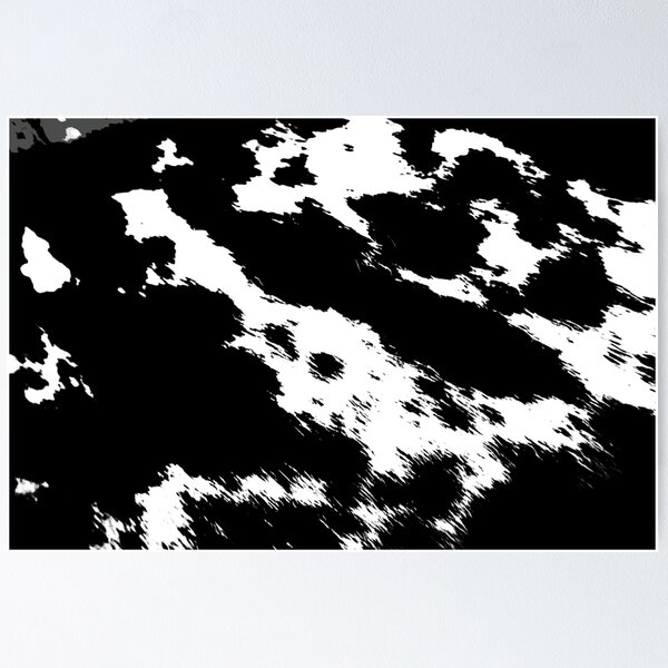 Aperçu de l'œuvre Noir et blanc créée et vendue par corichard.