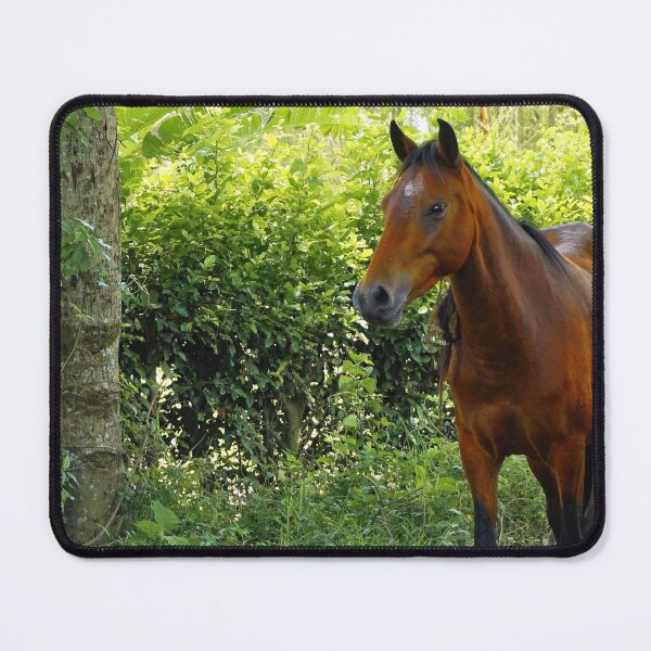 Item preview, Horse designed and sold by corichard.