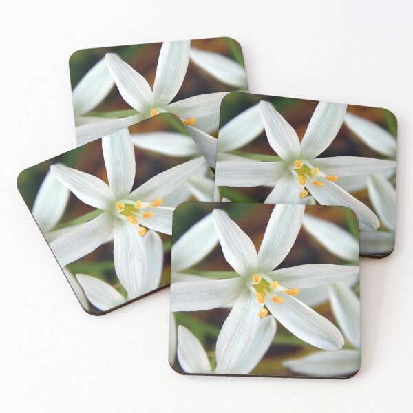 Item preview, Dusty Straight-Leaved Star of Bethlehem designed and sold by gistinker.