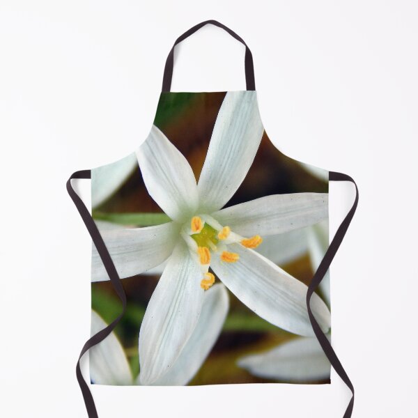 Item preview, Dusty Straight-Leaved Star of Bethlehem designed and sold by gistinker.