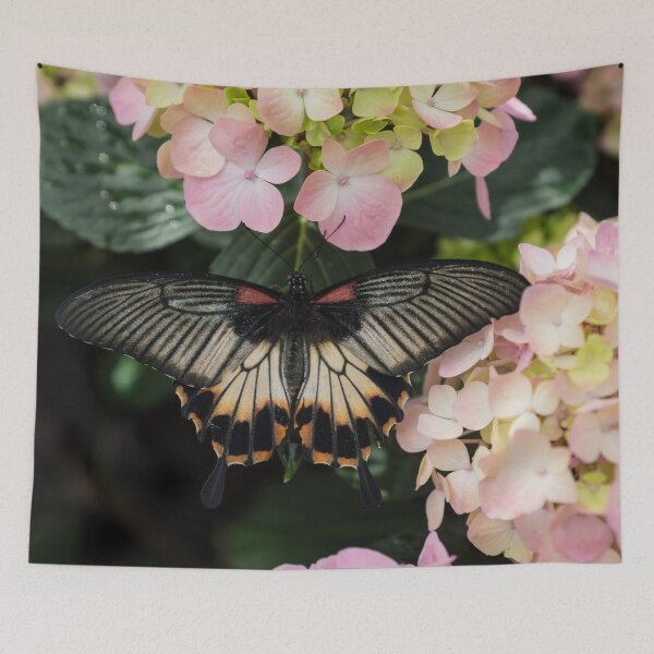 Item preview, The Enchantment of Butterflies - a Gorgeous Swallowtail Complementing the Hydrangeas  designed and sold by Georgia Mizuleva.