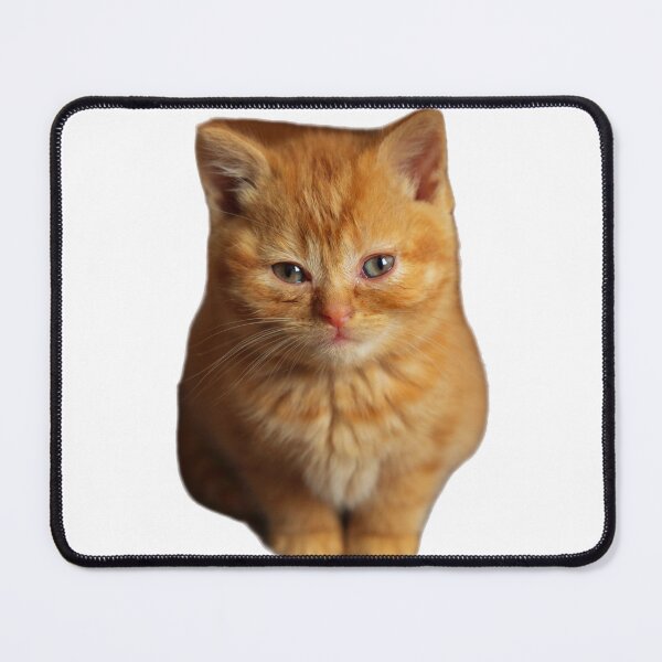 Item preview, cutie cat designed and sold by bigbrandshop.