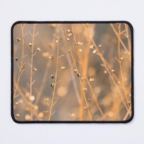 Item preview, Autumn Glow designed and sold by Shade & Shadow Art.