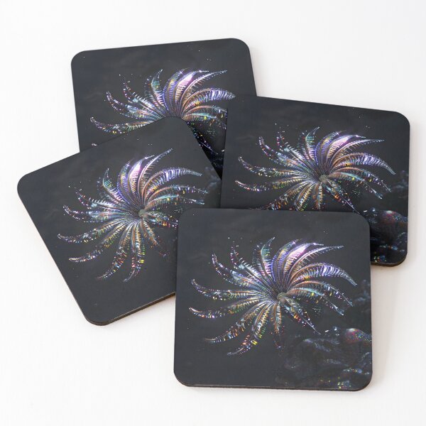 Item preview, Stunning underwater iridescent feather star designed and sold by dcrc.