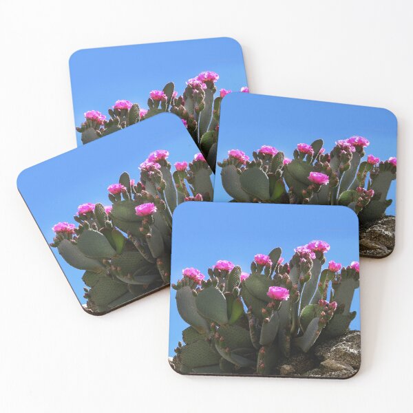 Item preview, Blooming Cactus in the Santa Rosa Mountains  designed and sold by heatherfriedman.