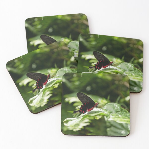 Item preview, A Gem in the Jungle - Crimson Rose Swallowtail Butterfly designed and sold by Georgia Mizuleva.