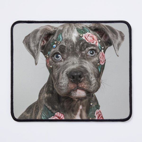 Item preview, Rosy Tattooed Staffy designed and sold by Nocturne Paws.