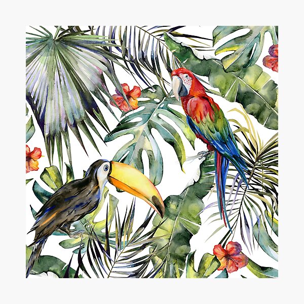 TROPICAL JUNGLE Photographic Print
