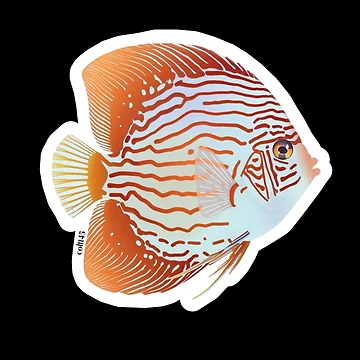 Artwork thumbnail, Discus by Coltt45
