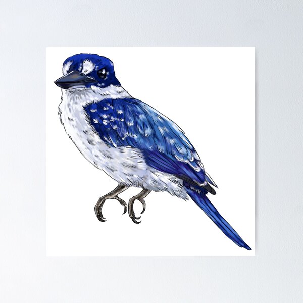 Item preview, Forest Kingfisher  designed and sold by Gh0stCookies.
