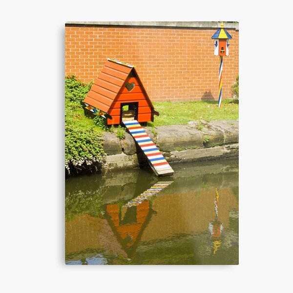 Duck House Metal Print