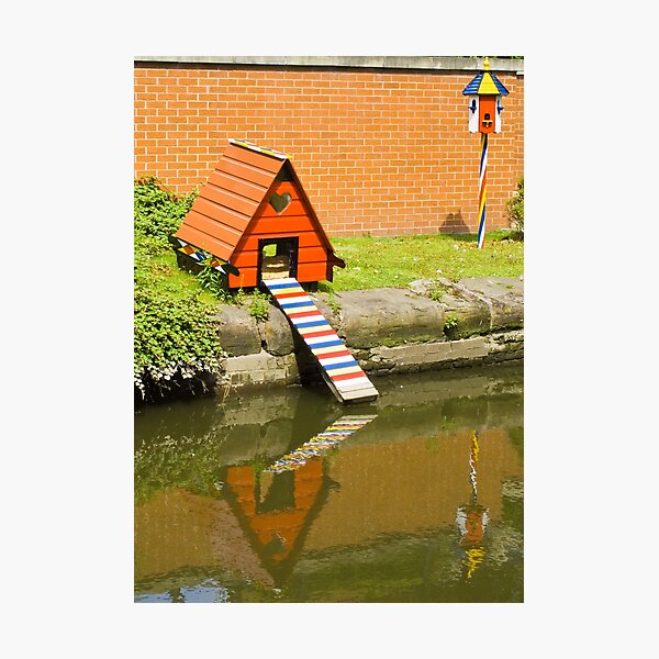 Duck House Photographic Print