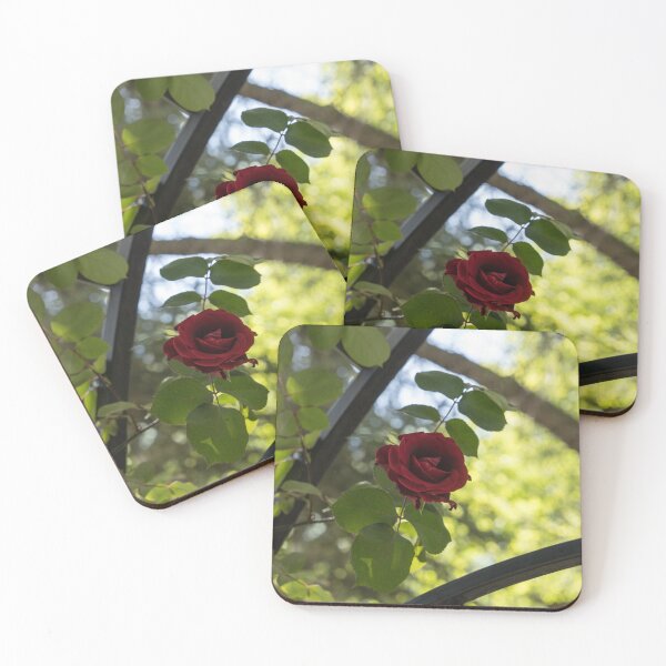 Item preview, Lines and Framing - Red Rose Blooming Over a Garden Fence designed and sold by Georgia Mizuleva.
