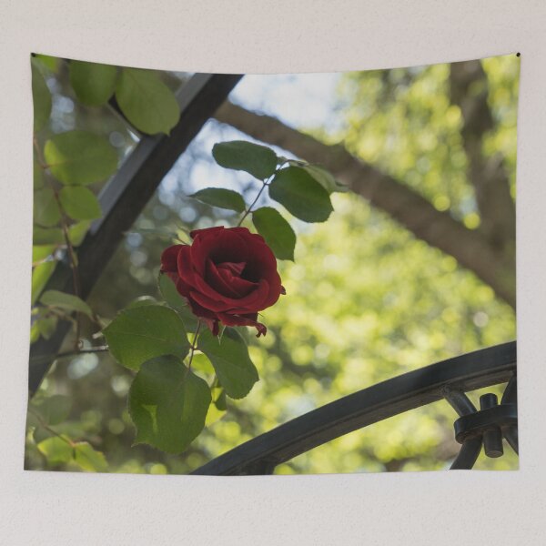 Item preview, Lines and Framing - Red Rose Blooming Over a Garden Fence designed and sold by Georgia Mizuleva.