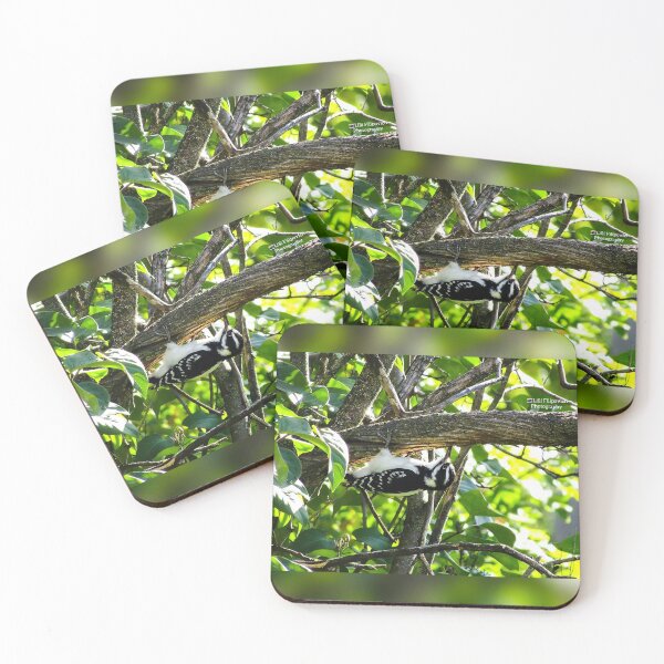 Item preview, Downy Woodpecker designed and sold by LilliFilipPhoto.