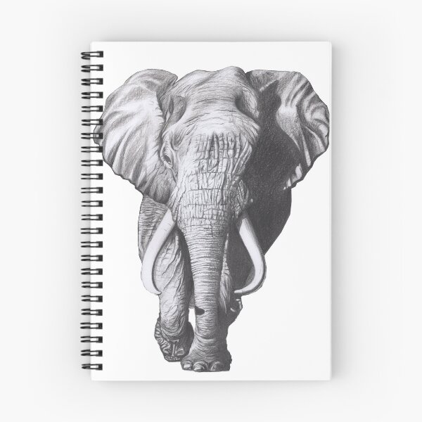 Aperçu de l'œuvre Éléphant d'Afrique créée et vendue par TSK Sketches.