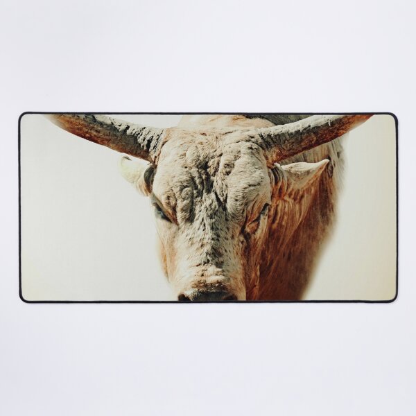 Item preview, RODEO BULL, WALL ART AND DESIGNS BOVINE BAD GET A GRIP ON THESE designed and sold by Barbara Jean Photo Art And Design.