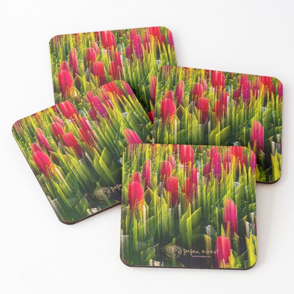 Item preview, Intensional Camera Motion of red tulips designed and sold by Susanebertphoto.