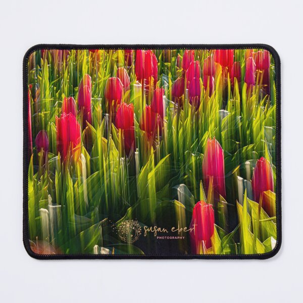 Item preview, Intensional Camera Motion of red tulips designed and sold by Susanebertphoto.