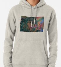 Sneeze Pullover Hoodie