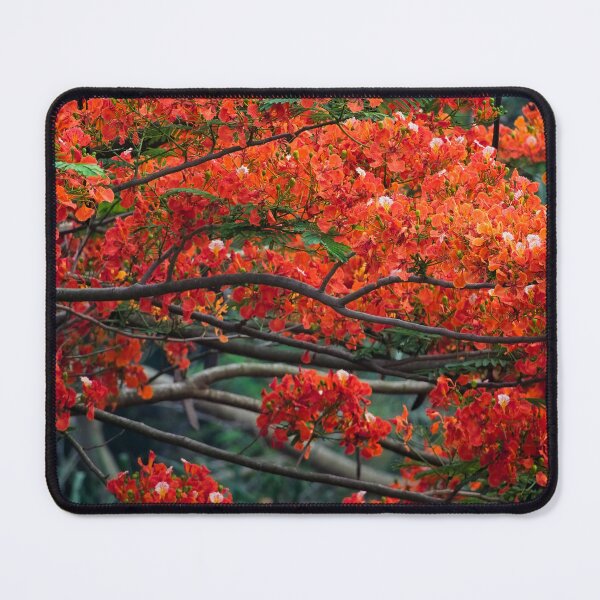 Item preview, tree with magnificent red-colored flower designed and sold by franck380.