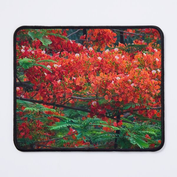 Item preview, tree with magnificent red-colored flower designed and sold by franck380.