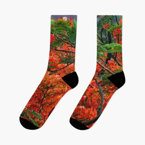 Item preview, tree with magnificent red-colored flower designed and sold by franck380.