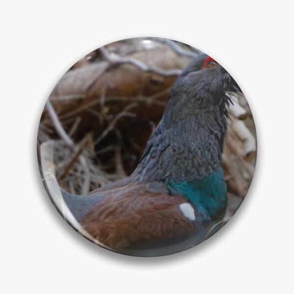 Item preview, Capercaillie during courtship designed and sold by sandrosprecher.