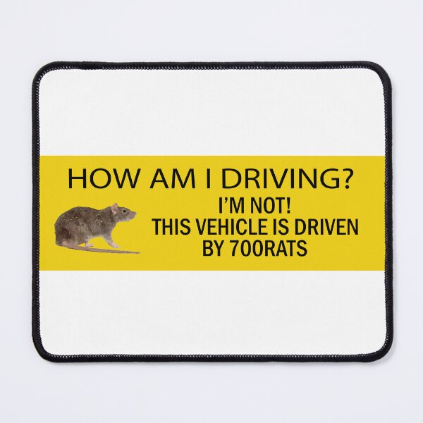 Item preview, how am i driving bumper designed and sold by fanky-bumper.