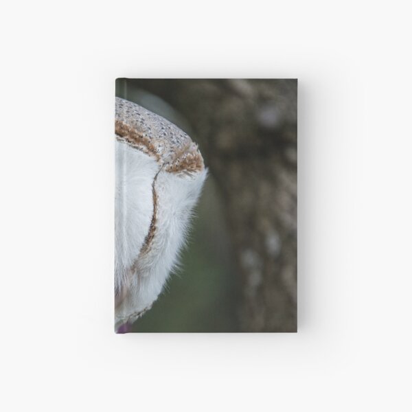Barn Owl Hardcover Journal