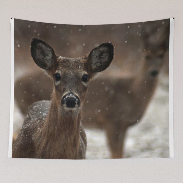 Item preview, Snow Again designed and sold by Bill Stephens.