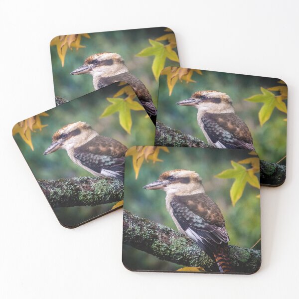 Item preview, Australian Laughing Kookaburra Autumn Scene designed and sold by Kathie Thomas.