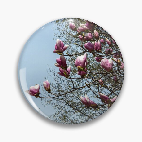 Item preview, Magnolia liliiflora designed and sold by yunee.