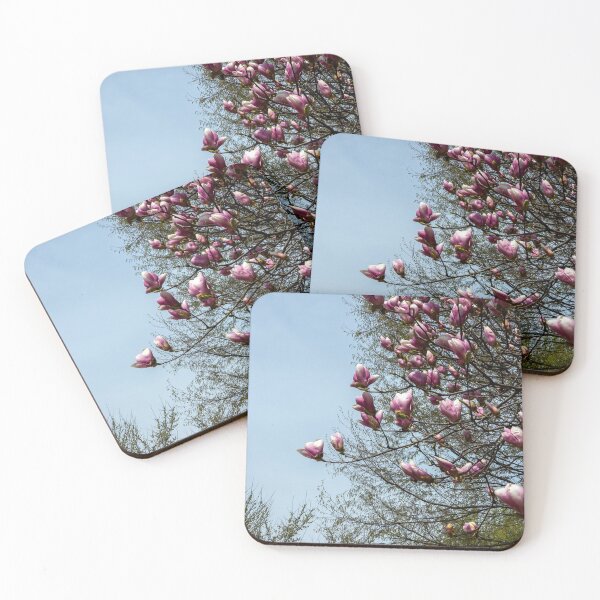Item preview, Magnolia liliiflora designed and sold by yunee.