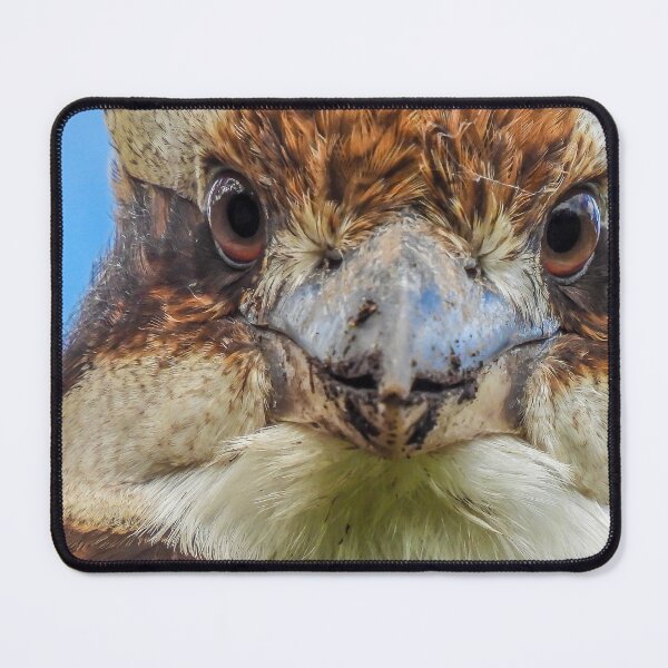 Item preview, Kookaburra Close up designed and sold by Kathie Thomas.