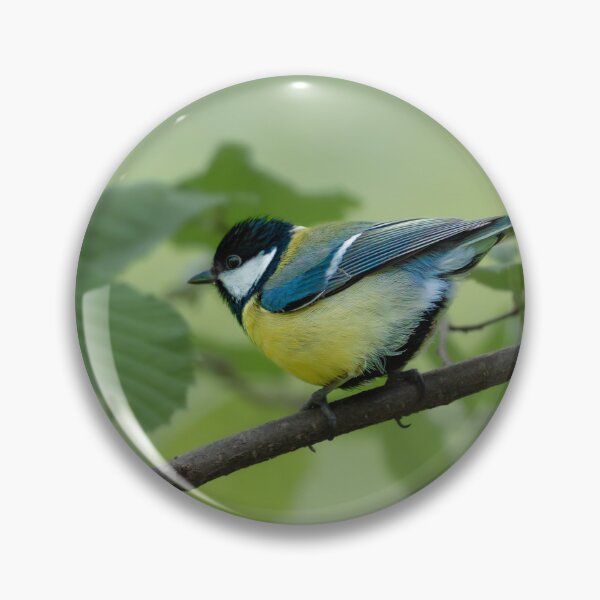 Item preview, Great Tit designed and sold by sandrosprecher.