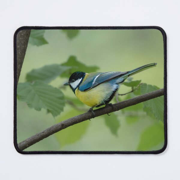 Item preview, Great Tit designed and sold by sandrosprecher.