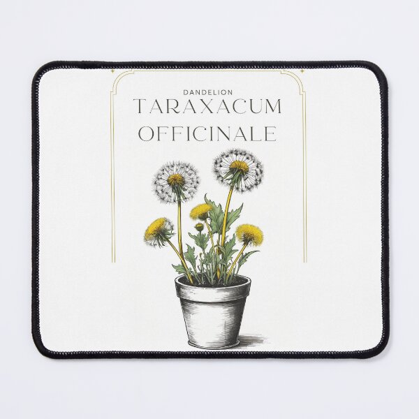 Item preview, Dandelion Taraxacum officinale Minimal Rustic sketch by CallisC Arts ⭐⭐⭐⭐⭐ designed and sold by CallisC-Arts.