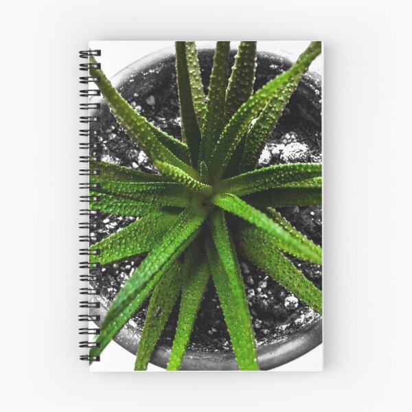 Item preview, Succulent designed and sold by thegeeko.