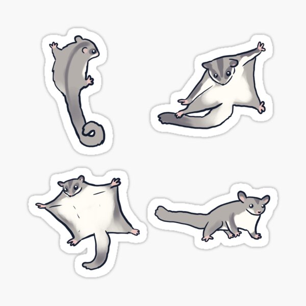 Item preview, sugar gliders pack  designed and sold by Mayarart.