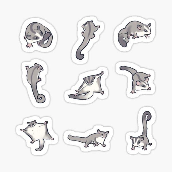 Item preview, cute sugar gliders pack  designed and sold by Mayarart.