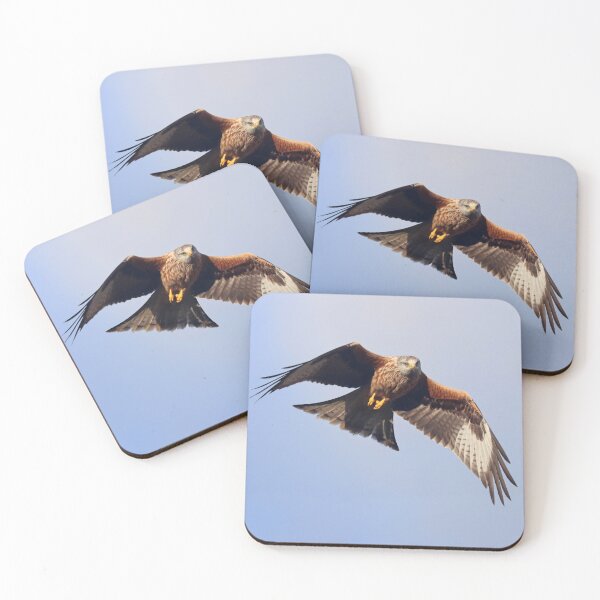 Item preview, Red kite stare designed and sold by GreyFeatherPhot.
